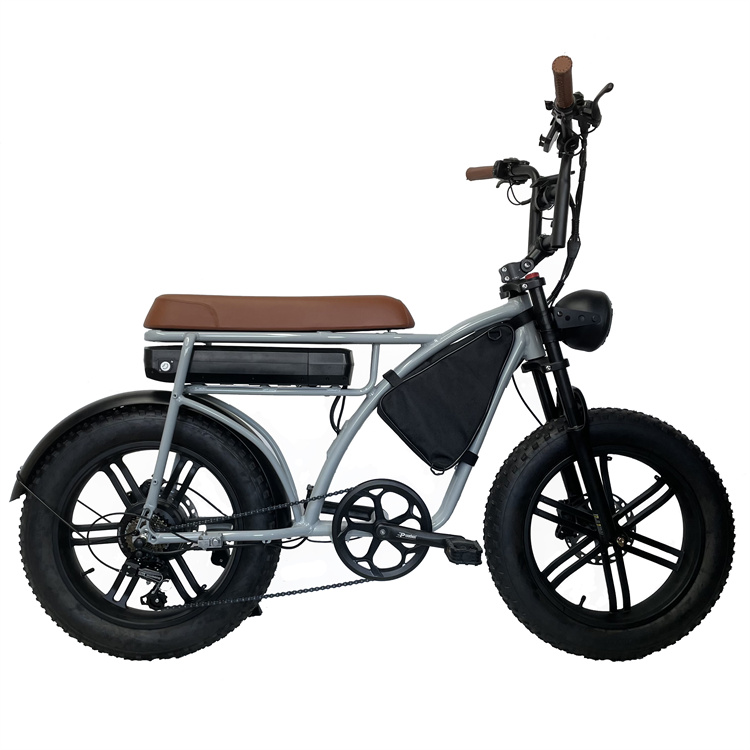 20 Inch 48v 20.3ah 7 Speed Snow Mountain Hydraulic Brake Bicycle Middle Color Lcd Display Ebike 750w Fat Tire Electric Bike